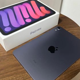 iPad mini パープル ⚠︎︎中古 本体 64GB WiFiモデル