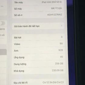 iPad mini (第6世代) 256GB グレー