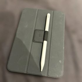 iPad mini Wi-Fiモデル 256GB スペースグレイ ペンシル+α付