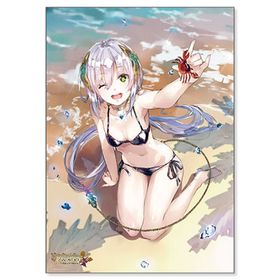 ソフィーのアトリエ ～不思議な本の錬金術士～ B1マイクロファイバータオル Ver.B