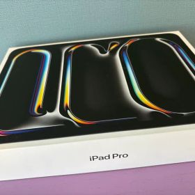 11インチiPad Pro(M4) 256GB Wi-Fiモデル ジャンク品