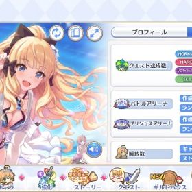 新規アリーナ無双用アリーナ未開放待機アカウント | プリンセスコネクト(プリコネR)のアカウントデータ、RMTの販売・買取一覧