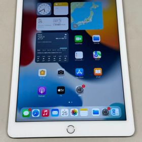 極美品 電池95％ docomo Apple iPad Air 第2世代 64GB ゴールド