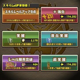 パズドラ引退垢 王冠86