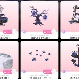 迷夢のダスティブルーベリー ココリウムN品6点 | ポケコロツイン(ポケツイ)のアカウントデータ、RMTの販売・買取一覧