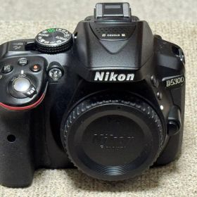 【ジャンク】Nikon D5300 稼働品