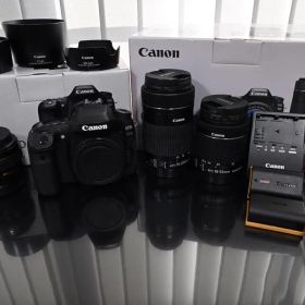 Canon EOS 80D デジタル一眼レフカメラ