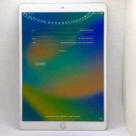 iPad Air（第3世代）Cellulareモデル シルバー 256GB バッテリー94％［牛久］