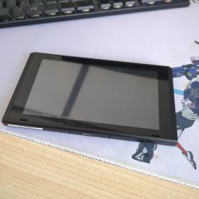 Nintendo Switch 本体 のみ