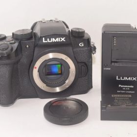 Panasonic パナソニック LUMIX G DC-G99 ボディ ミラーレス一眼カメラ 2503094