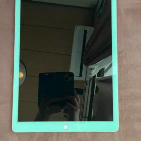 iPad pro 12.9インチ 第2世代 256GB セルラーモデル