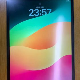 iPad Pro 12.9インチWi-Fi 第4世代 256GB