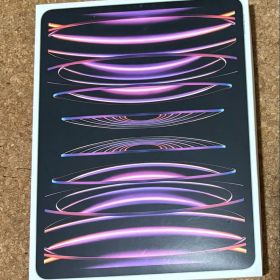 iPad Pro 12.9インチ 第6世代 256GB Wi-Fiモデル