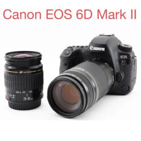 Wi-Fi/動画/Canon EOS 6D Mark II標準&望遠レンズセット