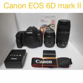 一眼レフカメラCanon EOS 6D Mark II標準&望遠レンズセット