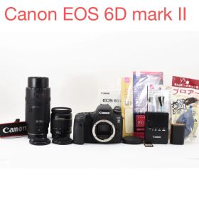 保証付き/Canon EOS 6D mark II標準&望遠ダブルレンズセット
