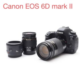 デジタル一眼レフCanon EOS 6D Mark II 標準&望遠レンズセット
