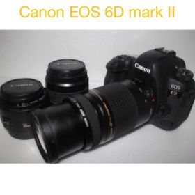 Canon EOS 6D Mark II標準&望遠&単焦点トリプルレンズセット