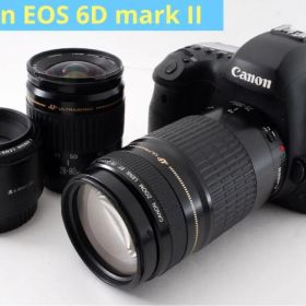 保証付き/Canon EOS 6D mark II標準&望遠&単焦点レンズセット