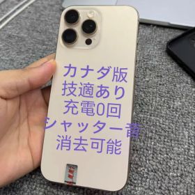 Apple iPhone 16 Pro Max Desert 256GB CA版