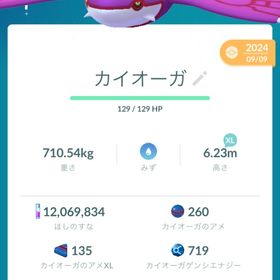 ポケモンGO産 色カイオーガ | ポケモンSV(スカーレットバイオレット)のアイテム、RMTの販売・買取一覧