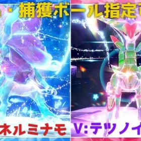 <ポケモンSV・ポケモン剣盾・ポケモンBDSP> 受け取り・捕獲代行 おまとめセット | ポケモンSV(スカーレットバイオレット)のアイテム、RMTの販売・買取一覧