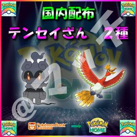 【配布バラ売り】「テンセイざん」全2体収録セット！ | ポケモンSV(スカーレットバイオレット)のアイテム、RMTの販売・買取一覧