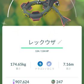 6985【PTC】在庫処分！砂100万！色違いヤバチャ しんさくフォルム2匹 | ポケモンGOのアカウントデータ、RMTの販売・買取一覧