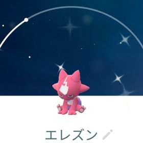 9000【PTC】色違いエレズン、色違いフラベベ 他 | ポケモンGOのアカウントデータ、RMTの販売・買取一覧