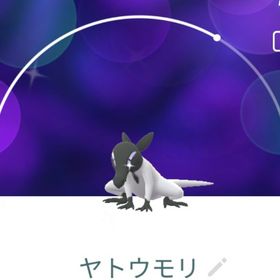 9191【PTC】在庫処分！国産！色違いヤトウモリ ♂ | ポケモンGOのアカウントデータ、RMTの販売・買取一覧