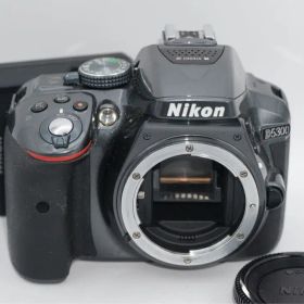 Nikon D5300 グレー