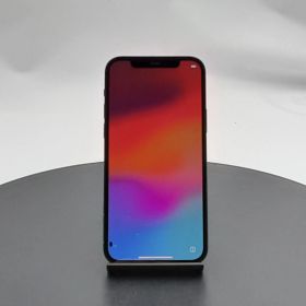 ★ジャンク/液晶ドット抜けあり★Apple iPhone 12 64GB ブラック MGHN3 J/A SIMフリー [6.1インチ iOS] 中古 スマートフォン (RM450)