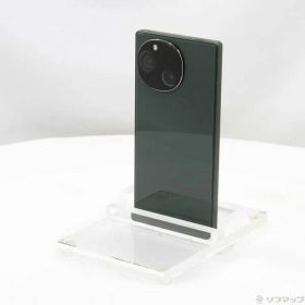 〔中古品〕 AQUOS R9 256GB グリーン SH-51E docomo SIMフリー【269】