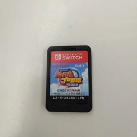 ニンテンドースイッチソフト eBASEBALLパワフルプロ野球2022