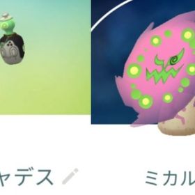 9217【PTC】国産！チャデス12匹、ミカルゲ12匹 | ポケモンGOのアカウントデータ、RMTの販売・買取一覧