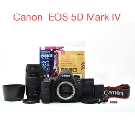 Canon EOS 5D Mark IV望遠レンズセット/EF 75-300mm(デジタル一眼)