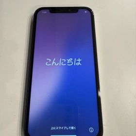 Apple iPhone 12 Pro グラファイト 256GB ジャンク品