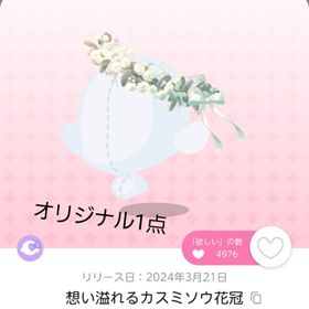 想い溢れるカスミソウ花冠 1点 | ポケコロツイン(ポケツイ)のアカウントデータ、RMTの販売・買取一覧