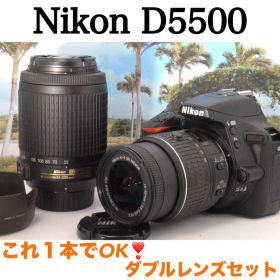 ✨ダブルレンズセット✨Nikon D5500 初心者おすすめ スマホ転送 美品