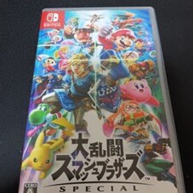 スマブラSP(大乱闘スマッシュブラザーズ SPECIAL) Switch 訳あり