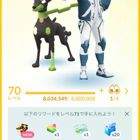 TL70伝説650体、色違い530体引退垢 | ポケモンGOのアカウントデータ、RMTの販売・買取一覧