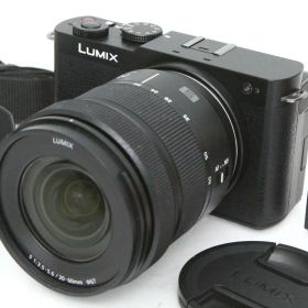 【中古】【ジャンク品】パナソニック LUMIX DC-S9K 標準ズームレンズキット CA01-R2941-2P1A パナソニック Panasonic LUMIX ミラーレス ライカLマウント フルサイズ 手ブレ補正
