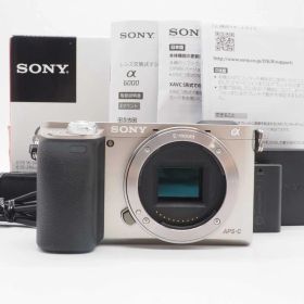 ソニー Sony a6000 ILCE-6000 24.3MP Silver Body 3451 Shots 元箱 [美品] #Z5581A