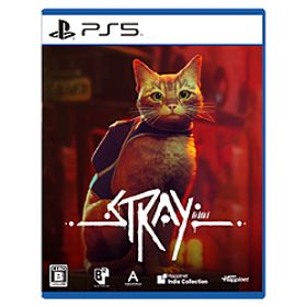 Stray 【PS5ゲームソフト】