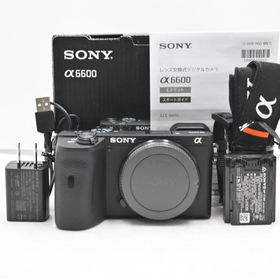 ショット数『3050』SONY(ソニー) ミラーレス一眼 α6600 ボディ