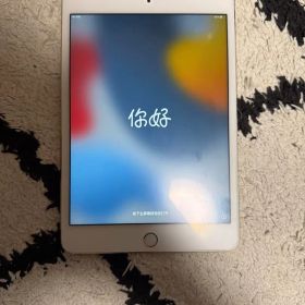iPad mini 4 128G
