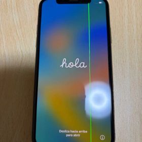 Apple iPhone X ゴールド 256GB
