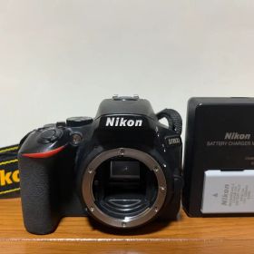初心者におすすめ！Nikon D5600 デジタル一眼レフカメラ