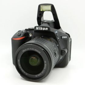 【中古】 Nikon ニコン D5600 AF-P 18-55mm 3.5-5.6G VR レンズキット 一眼レフカメラ
