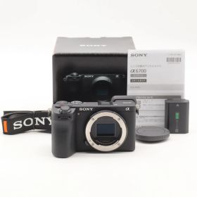 SONY α6700 ボディ ILCE-6700 ショット数 10654回